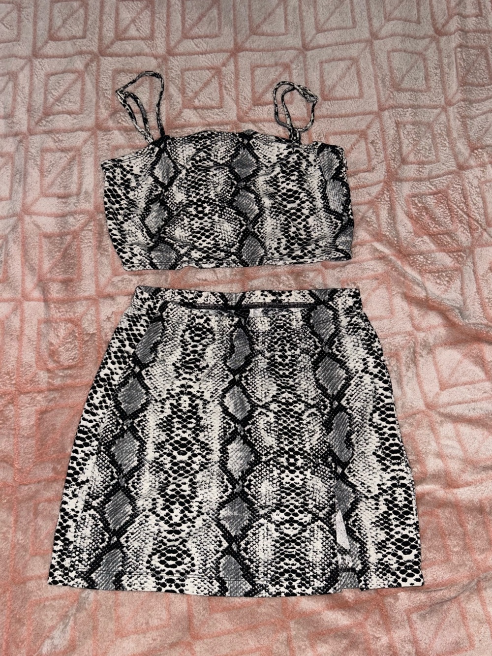 Snake Print Crop Top + Mini Skirt Set
